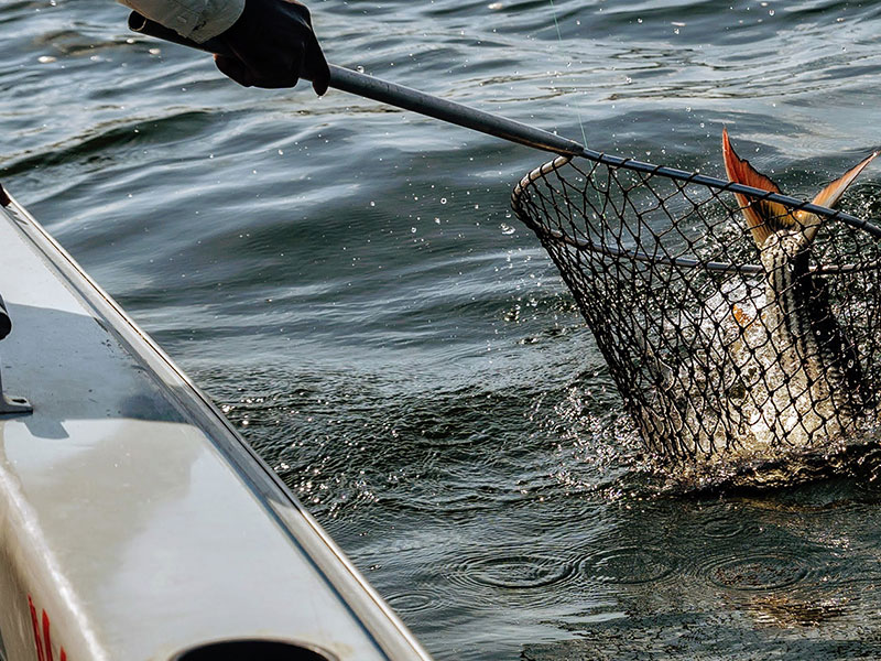 Fishing & Boat Hire