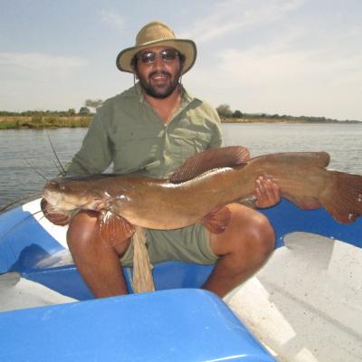 Guide holding a large Vundu catfish