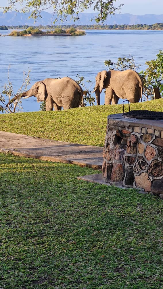 View of the Zambezi River from the chalet